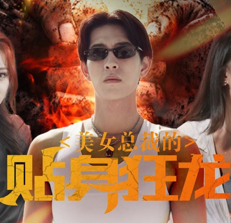 美女总裁的贴身狂龙第02集