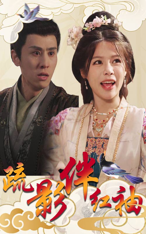 疏影伴红袖第30集