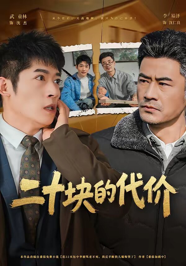 二十块的代价(全集)