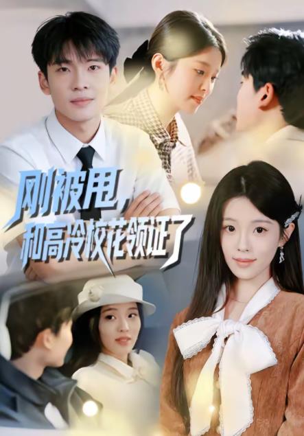 刚被甩，和高冷校花领证了(全集)