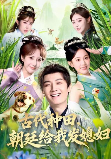 古代种田，朝廷给我发媳妇(全集)