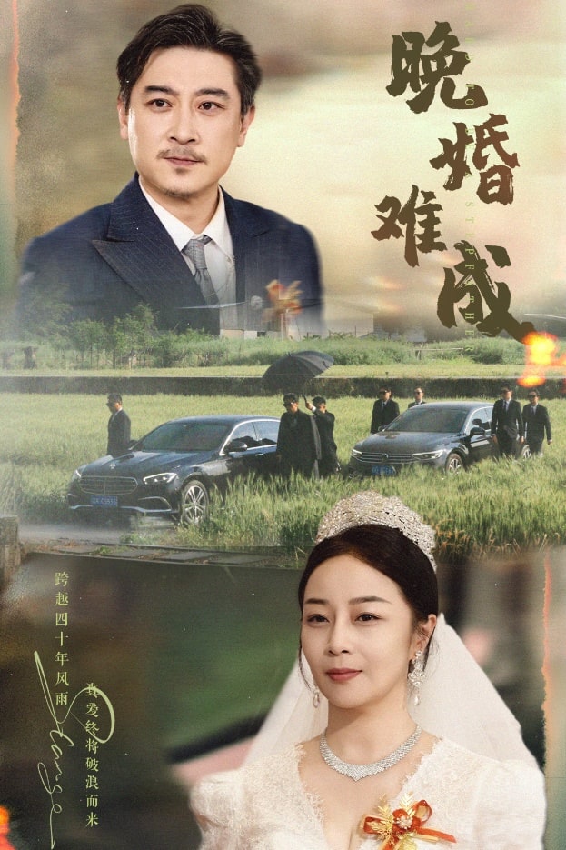 晚婚难成(全集)
